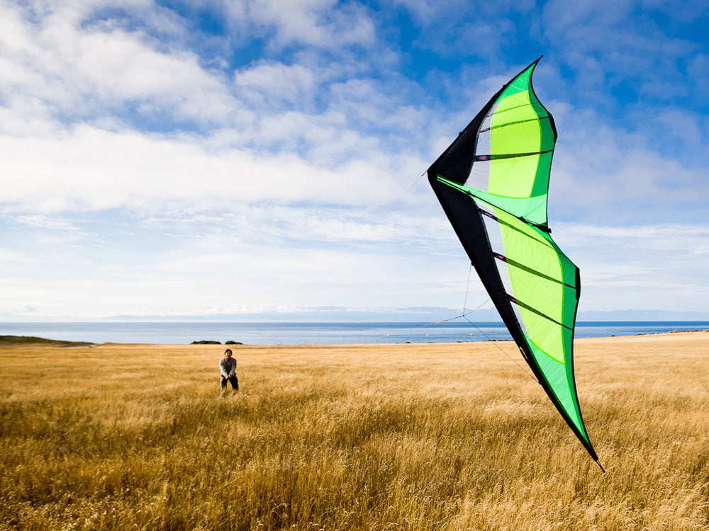 Stunt Kite Dual Line 102x30 RipStop Nylon + Carbon Spars + Line