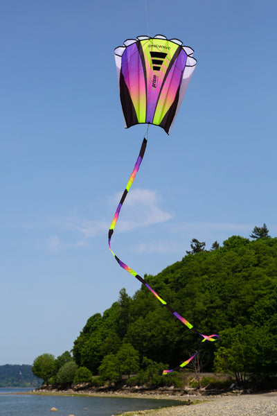 Plasma Sinewave kite (yellow pink and purple) flying in the air with a beach and trees in the background.