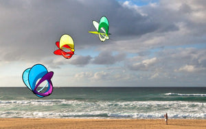 A chain of EO Atom box kites being flown at the beach