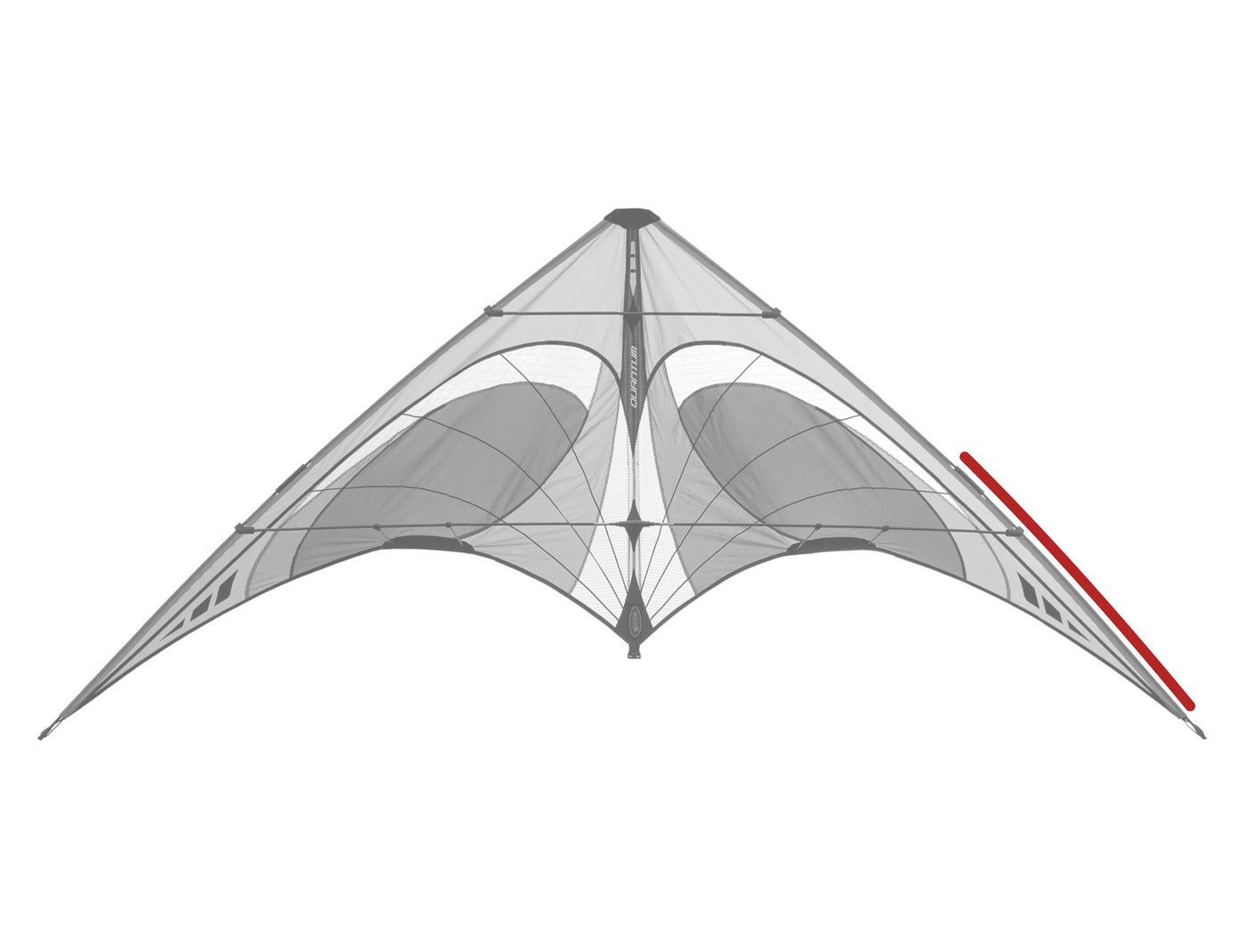 Diagram showing location of the Quantum Lower Leading Edge on the kite.