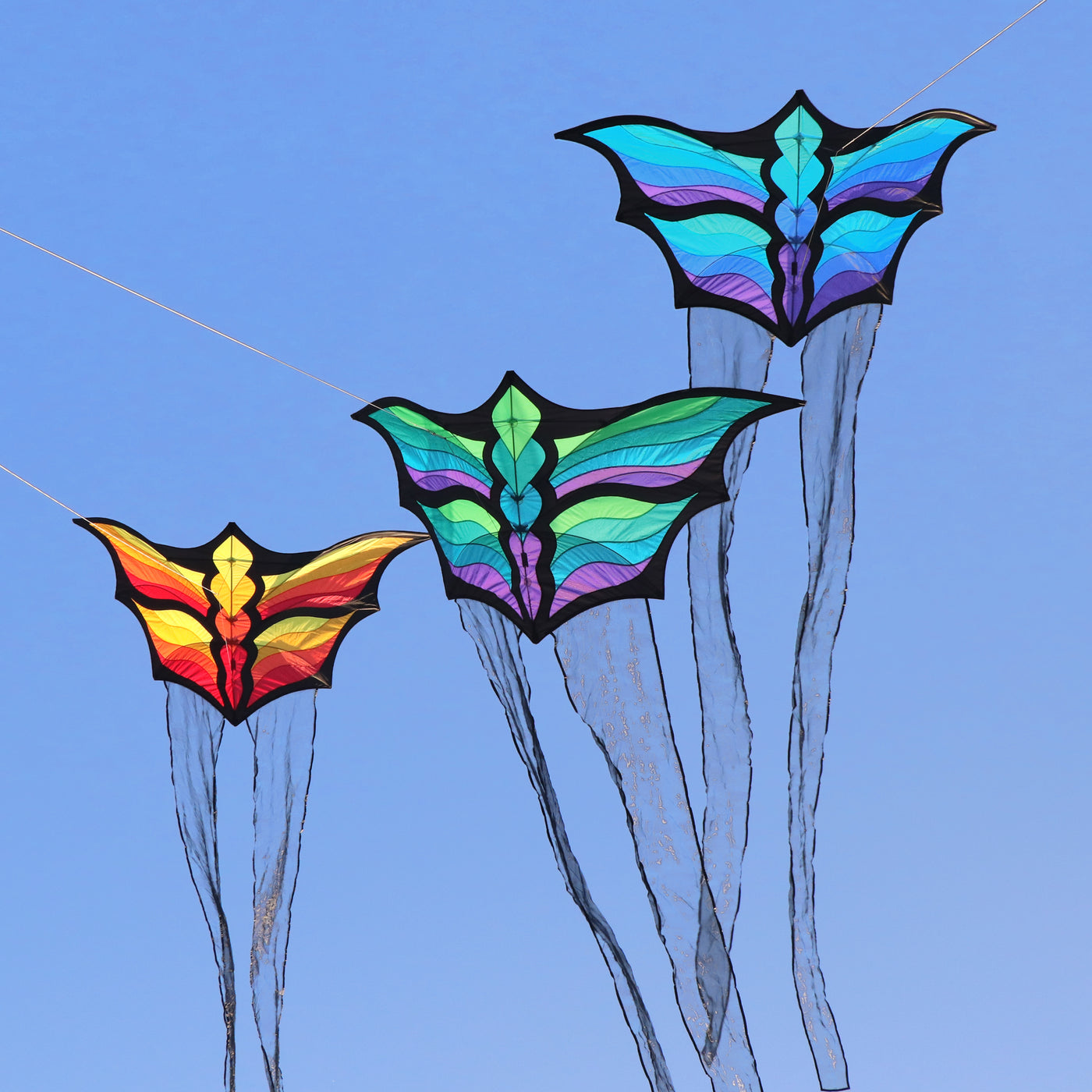 Brasington Butterfly