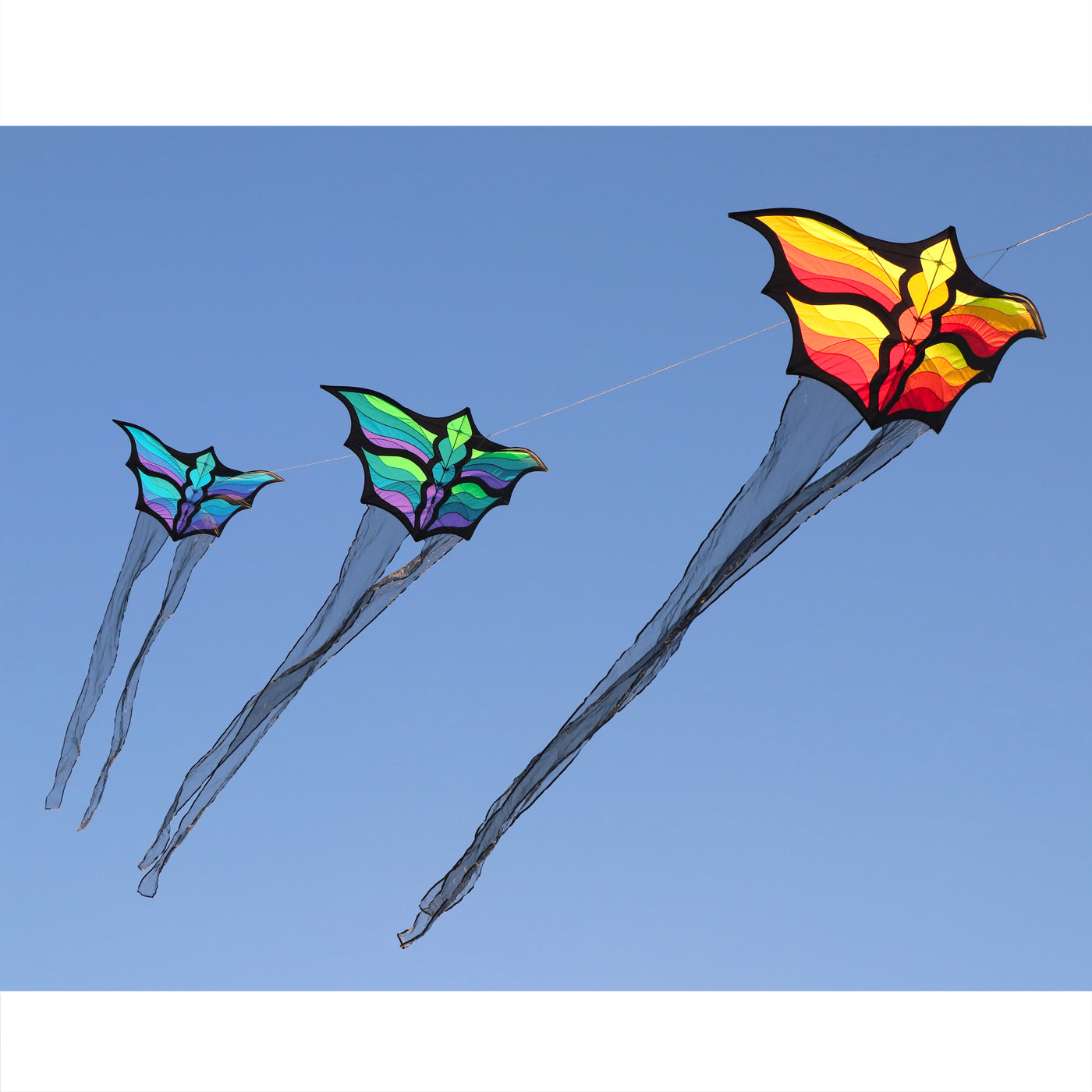 Brasington Butterfly