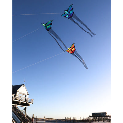 Brasington Butterfly