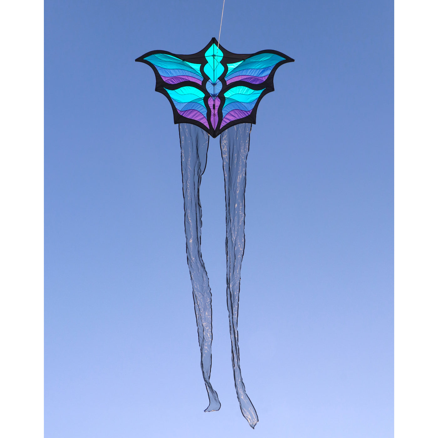 Brasington Butterfly