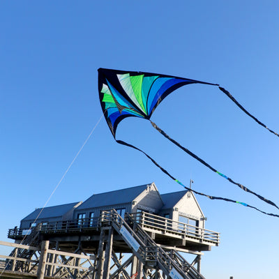 Brasington Taz Delta