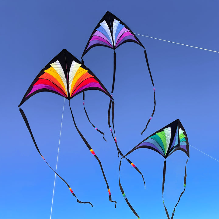 Brasington Taz Delta – Prism Kites