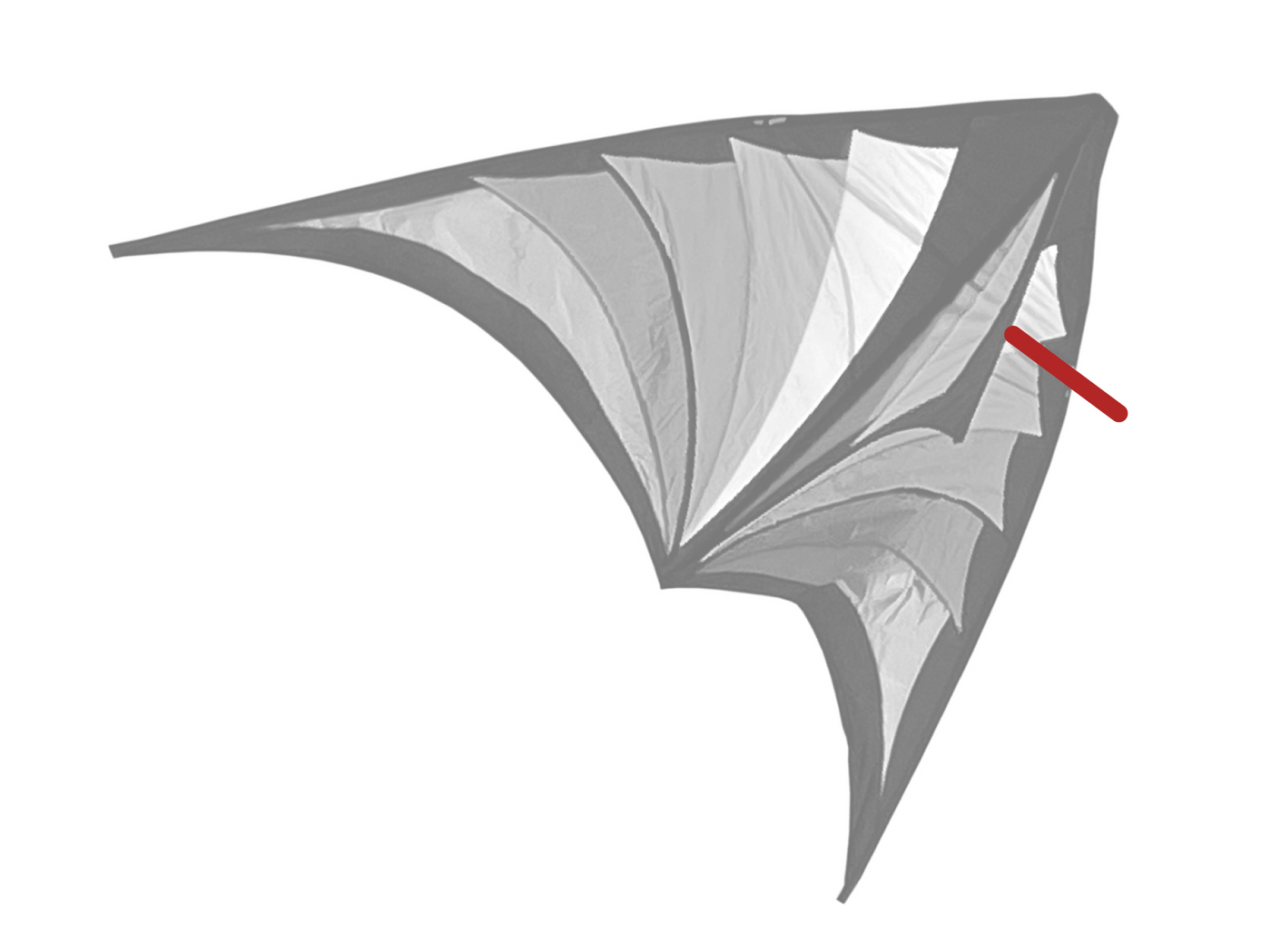 Brasington Taz Delta Bridle