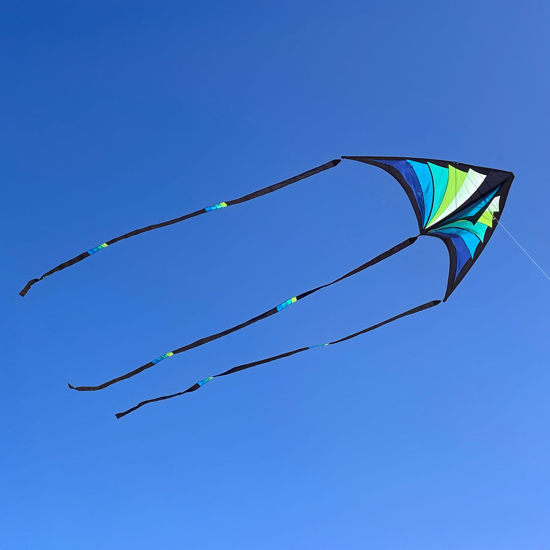 Brasington Taz Delta – Prism Kites