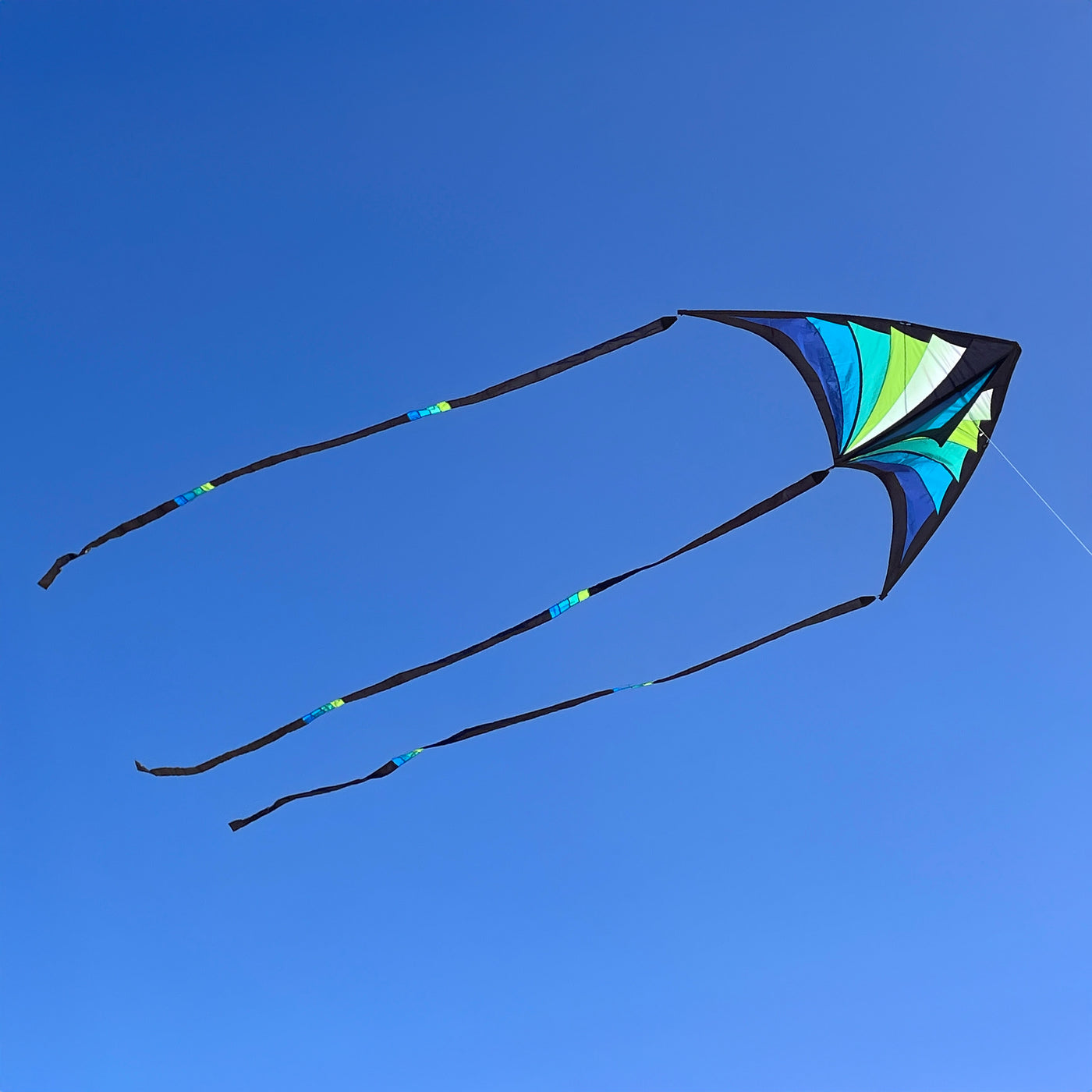 Brasington Taz Delta