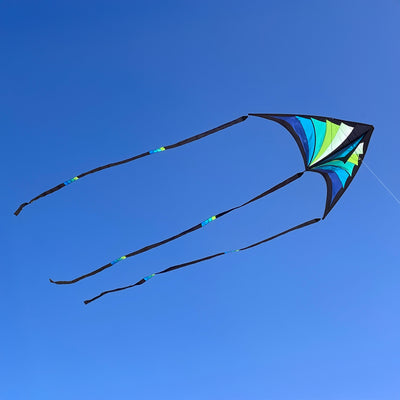 Brasington Taz Delta