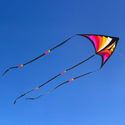 Brasington Taz Delta