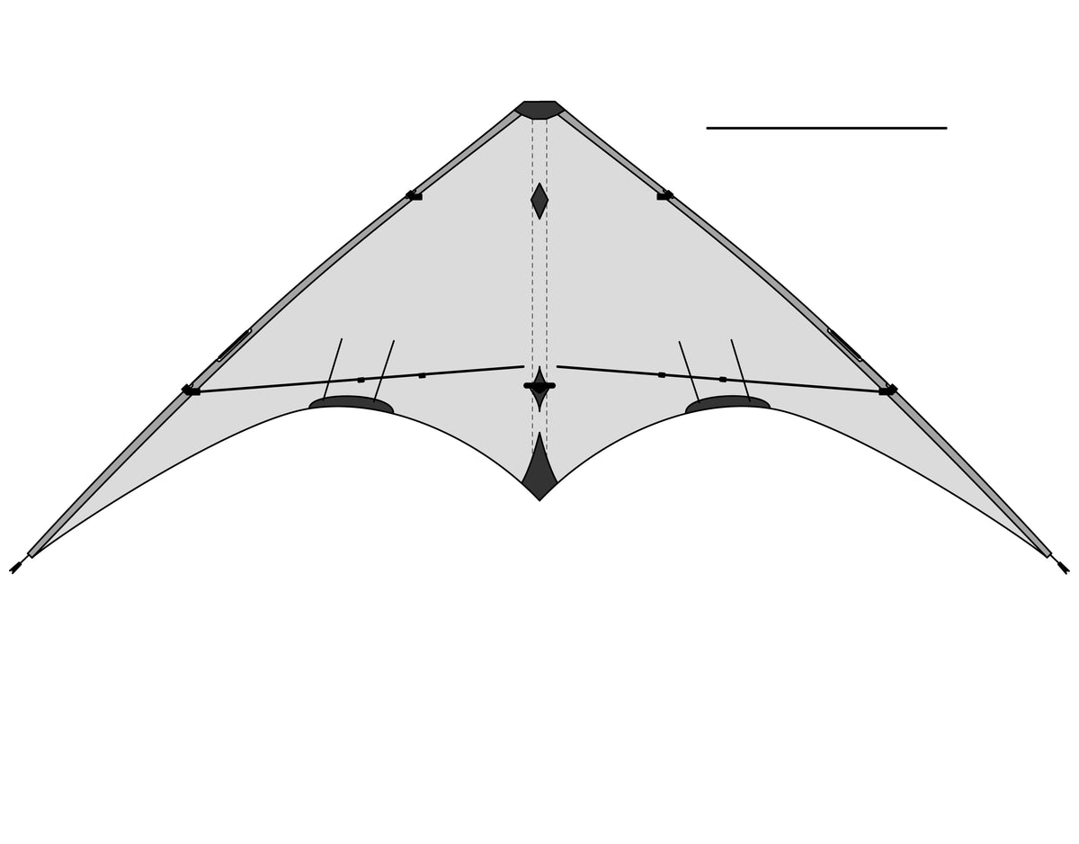 Kite face up with upper spreader removed