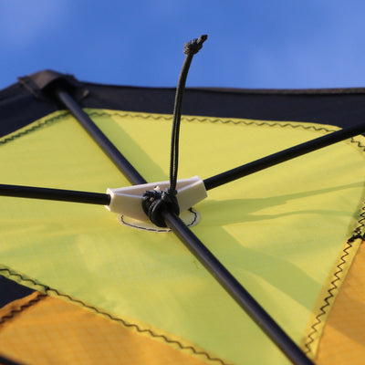 Brasington Butterfly