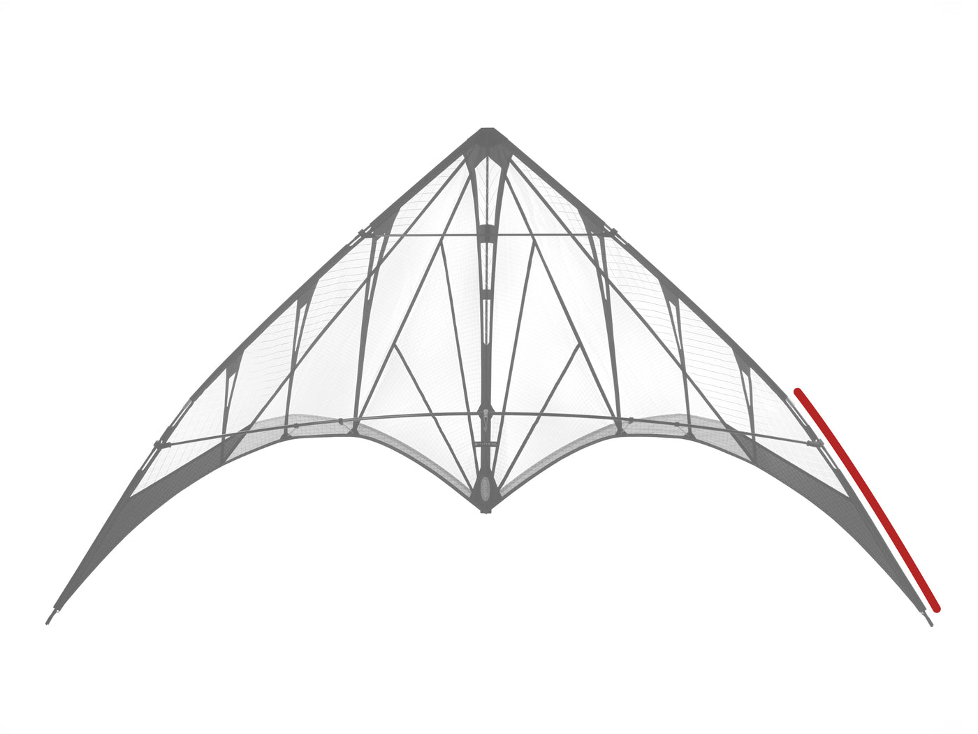 Synthesis Lower Leading Edge