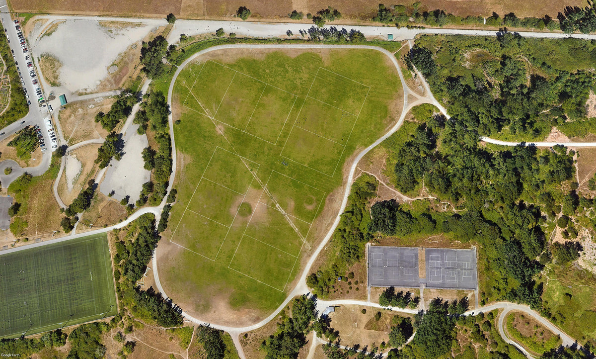Open field with tree cover along its boundaries