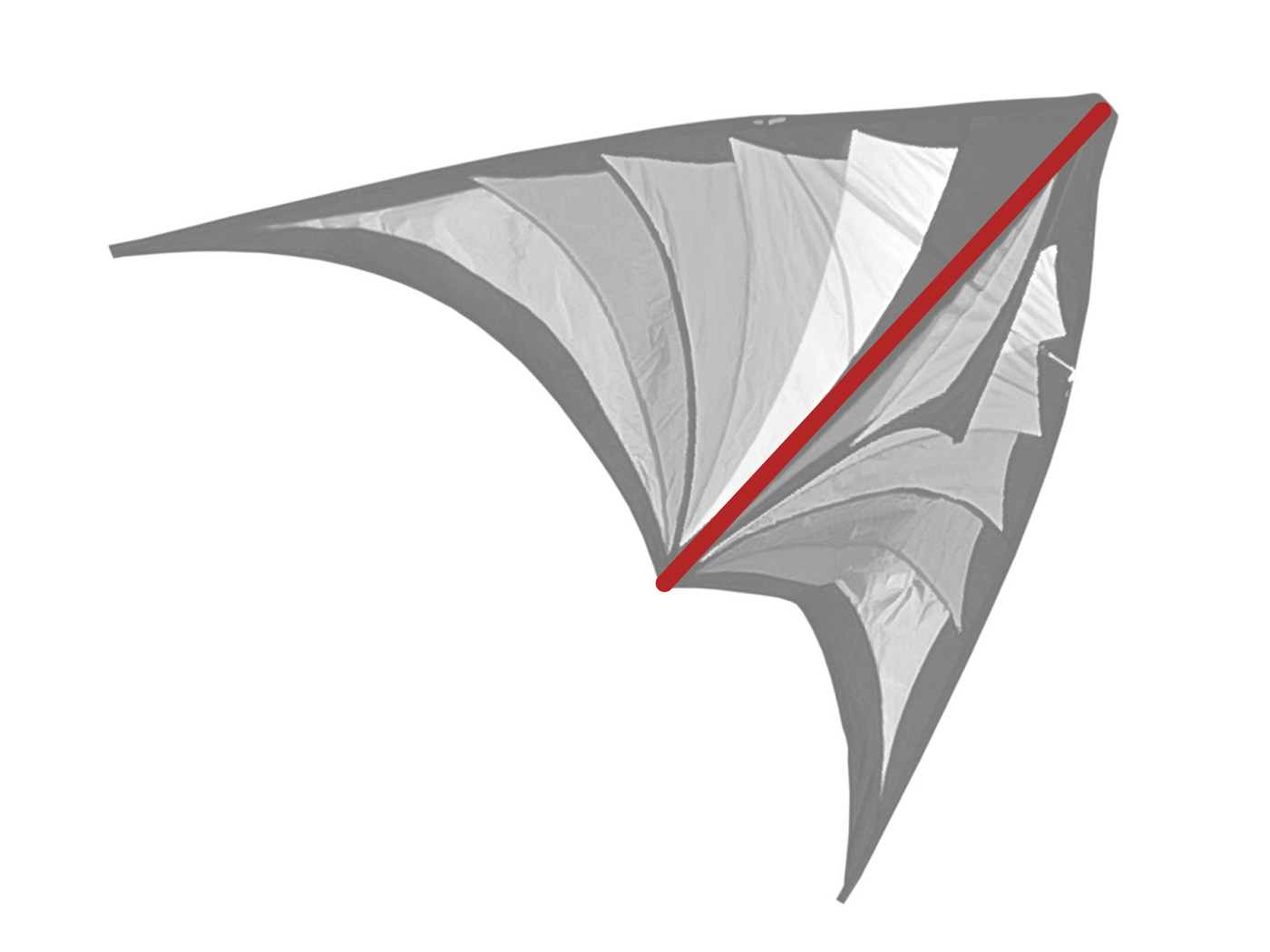 Brasington Taz Delta Spine