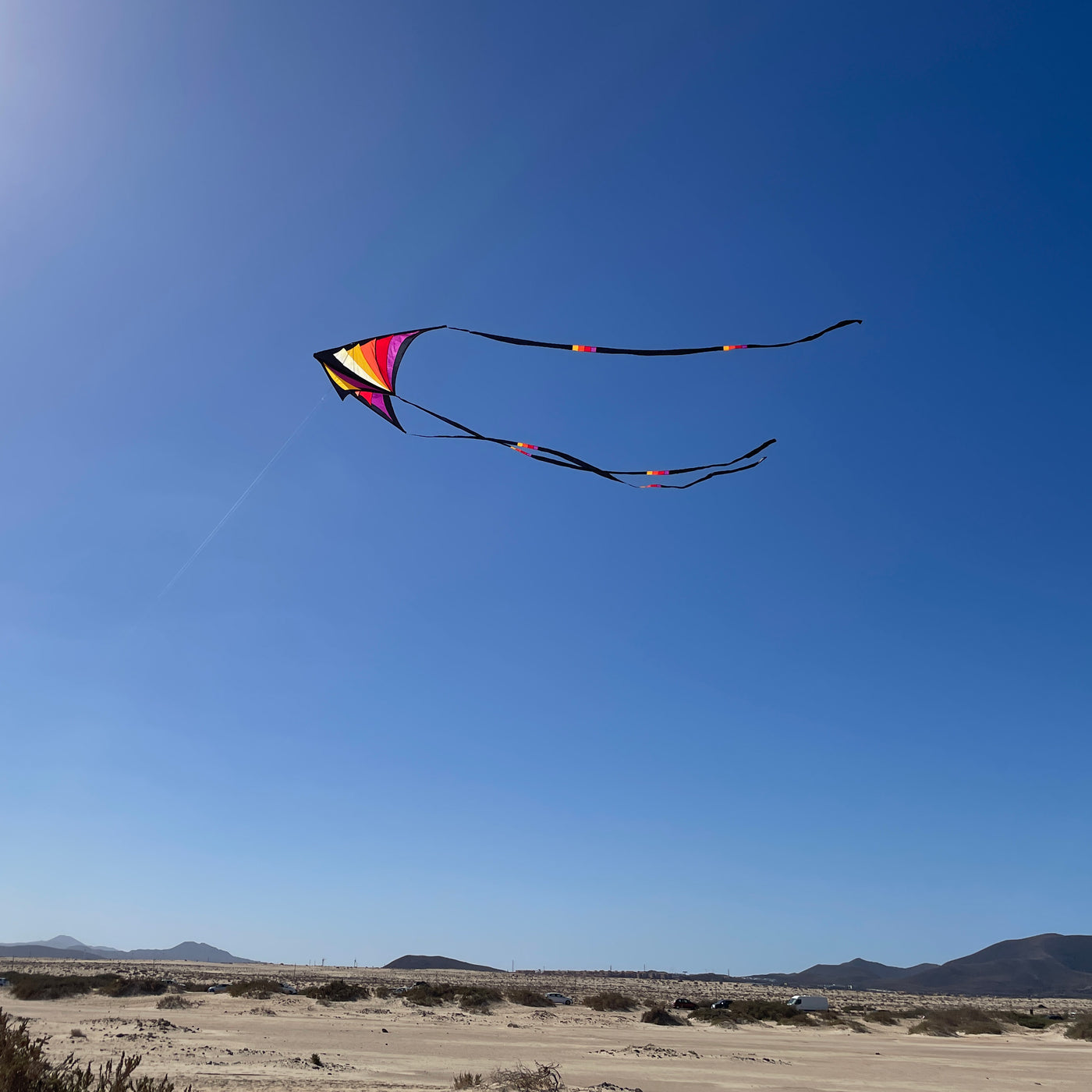 Brasington Taz Delta