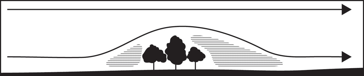 Wind turbulence around a stand of trees