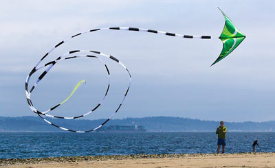 Man flying green Quantum with 75' Tube Tail at the beach