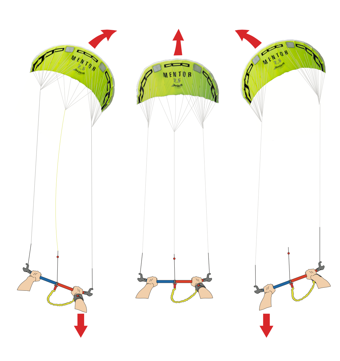Mentor — Steering