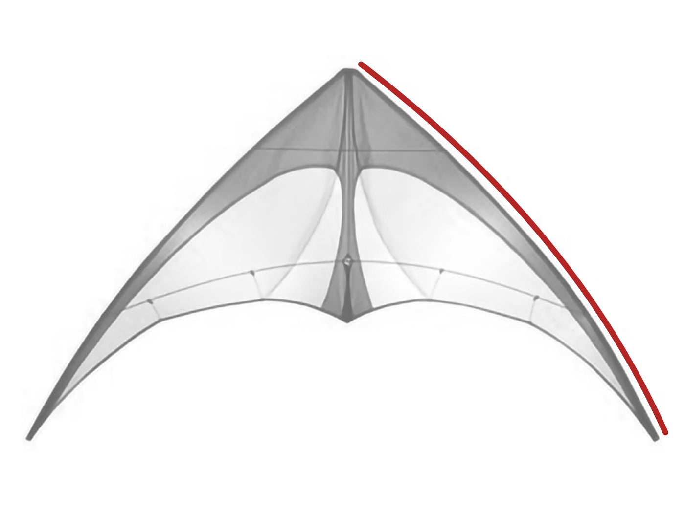 Diagram showing location of the 3D Leading Edge on the kite.