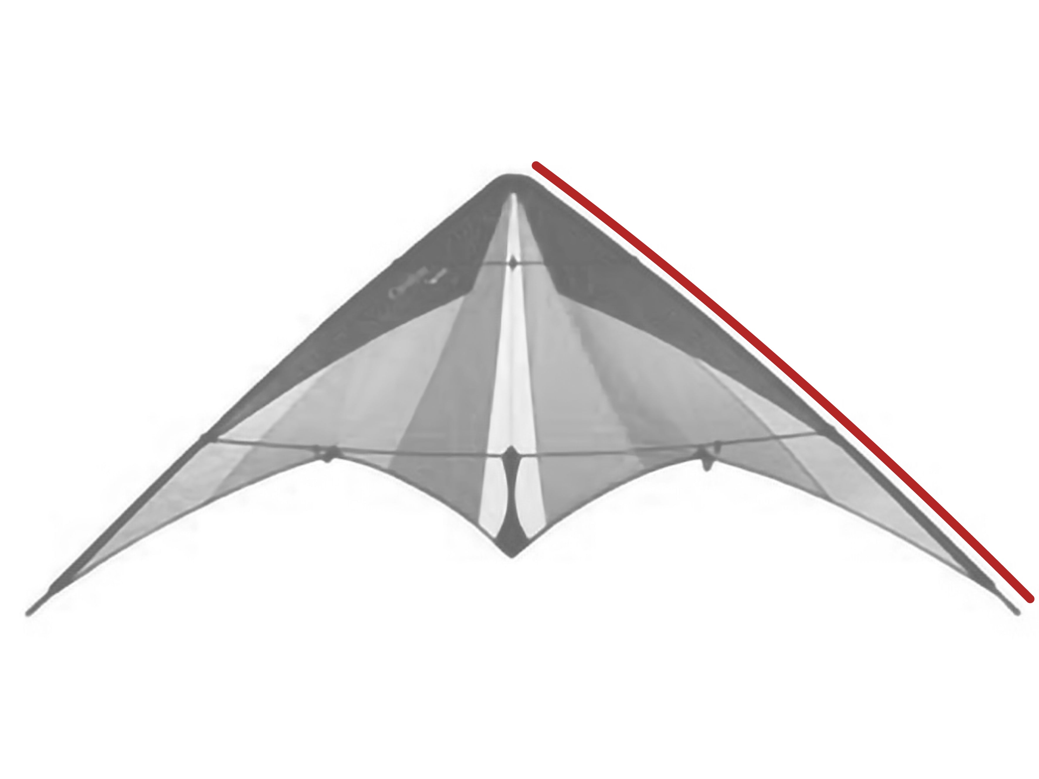 Catalyst Leading Edge – Prism Kites