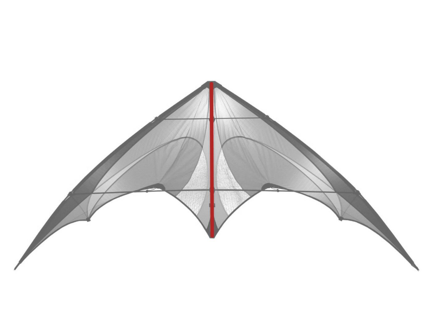 Diagram showing location of the E2 Spine on the kite.