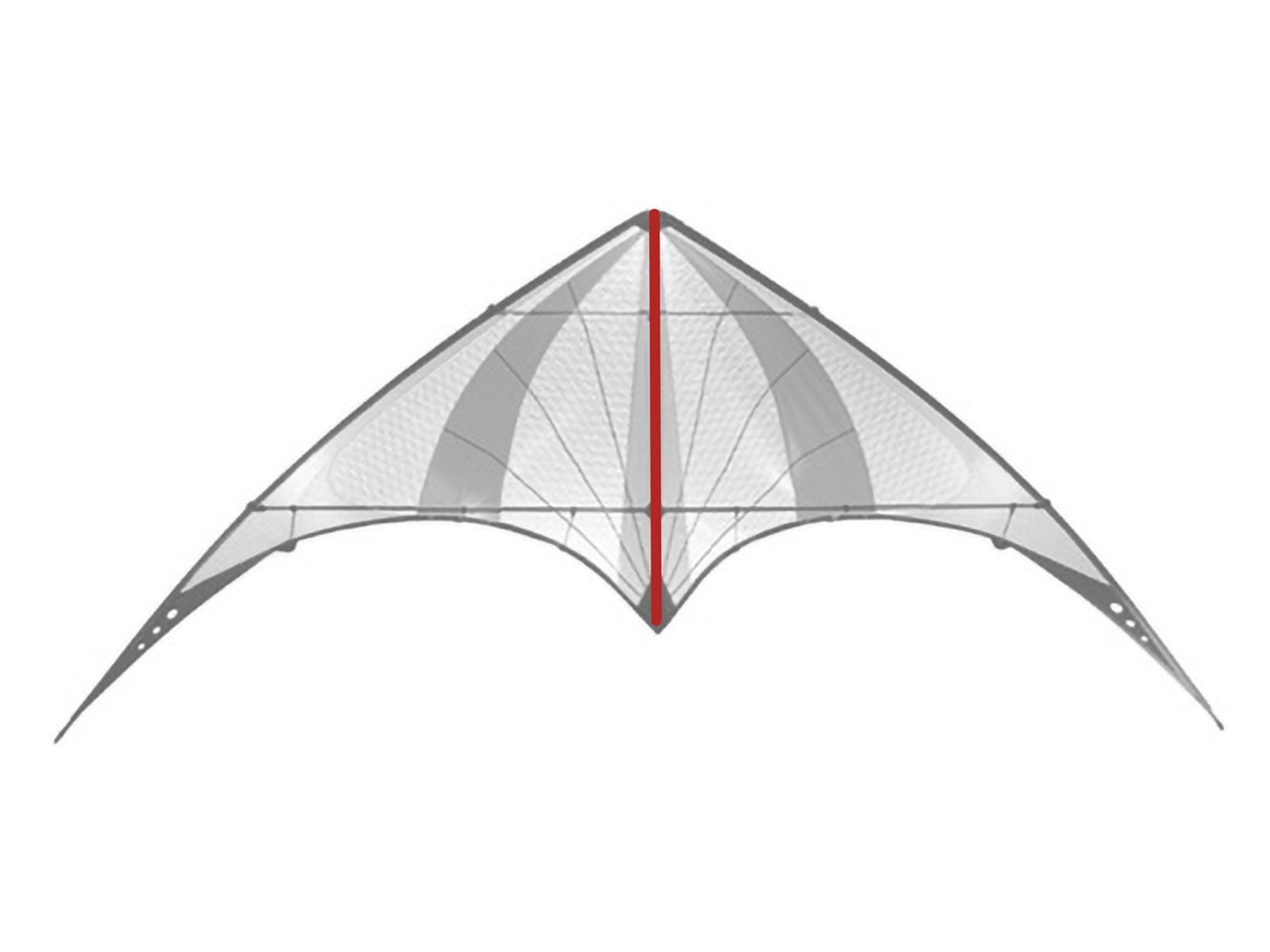 Diagram showing location of the Elixir Spine on the kite.