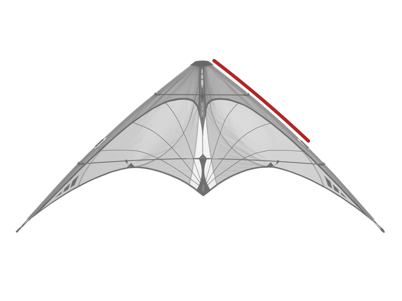Diagram showing location of the Nexus Upper Leading Edge on the kite.