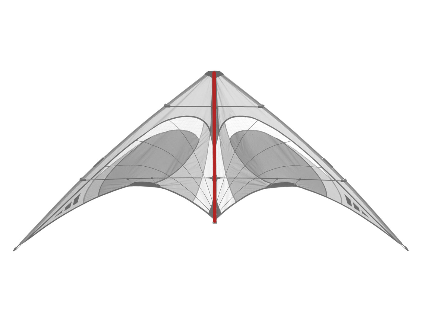 Diagram showing location of the Quantum Spine on the kite.