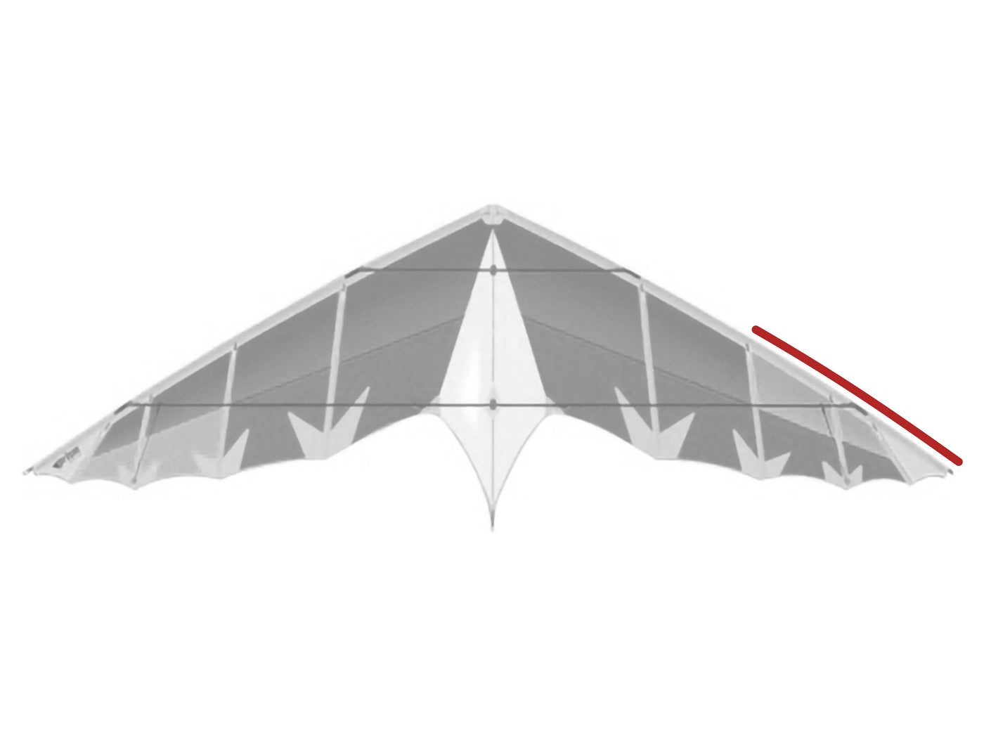 Diagram showing location of the Radian Lower Leading Edge on the kite.