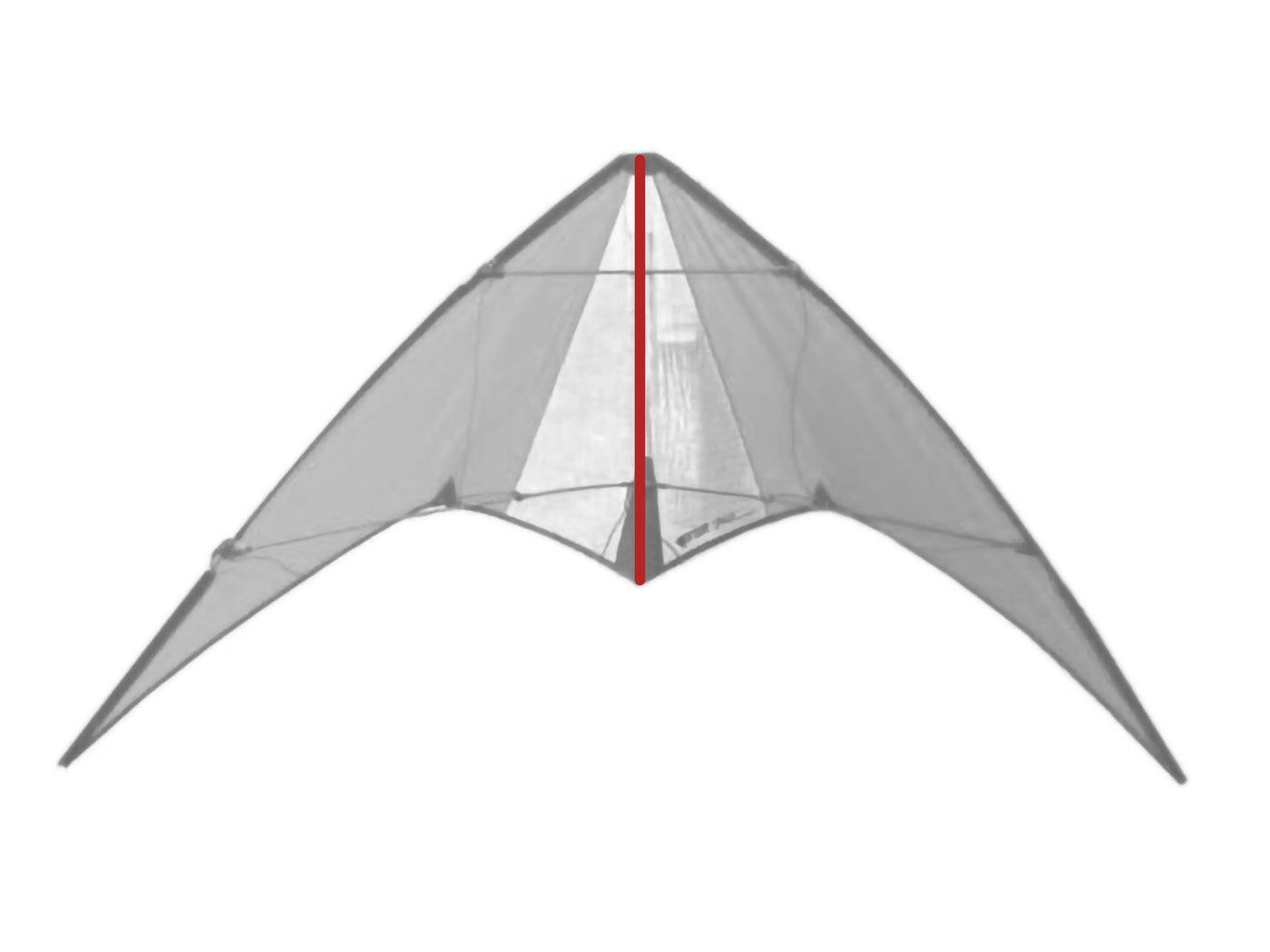 Diagram showing location of the Spark (Carbon) Spine on the kite.