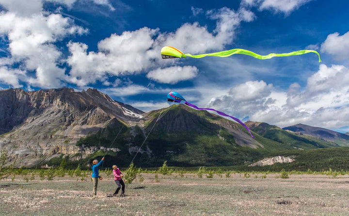 prism-kites-bora-p5-two-flying