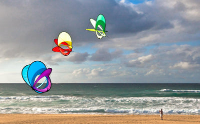Three EO Atoms flying in a group on a beach